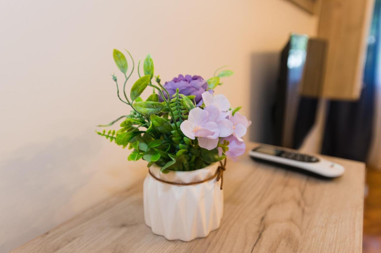 Apartman Studio Blue ซูโบติกา ภายนอก รูปภาพ